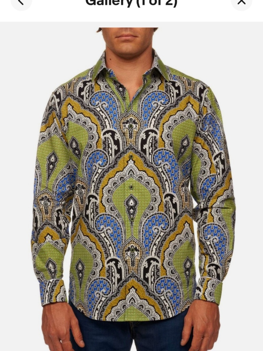 Robert Graham Green Blue Gold Paisley Print Button-Down Shirt XL